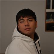 Clases de todas las asignaturas, ESO. Con experiencia, impartiendo matemáticas o como apoyo en deberes, trabajos y organización